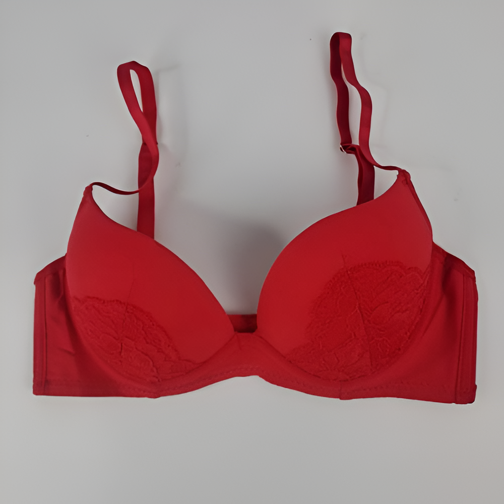 Sajiero Charming Red Embroidered Padded Bra and Panty Set